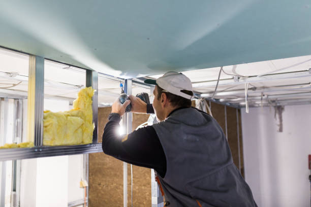 Best Spray Foam Insulation in Glenwood, IL