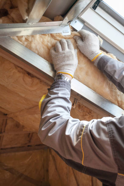 Best Geographic-Specific Insulation Services in Glenwood, IL