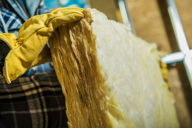 Best DIY Insulation Kits and Guidance in Glenwood, IL